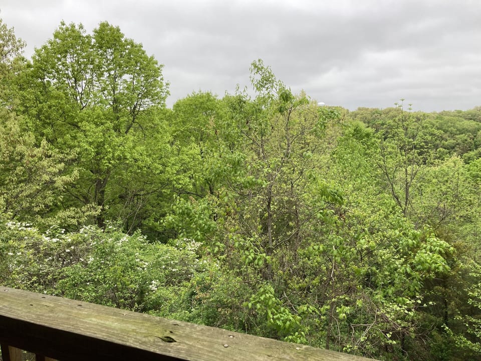 View from property