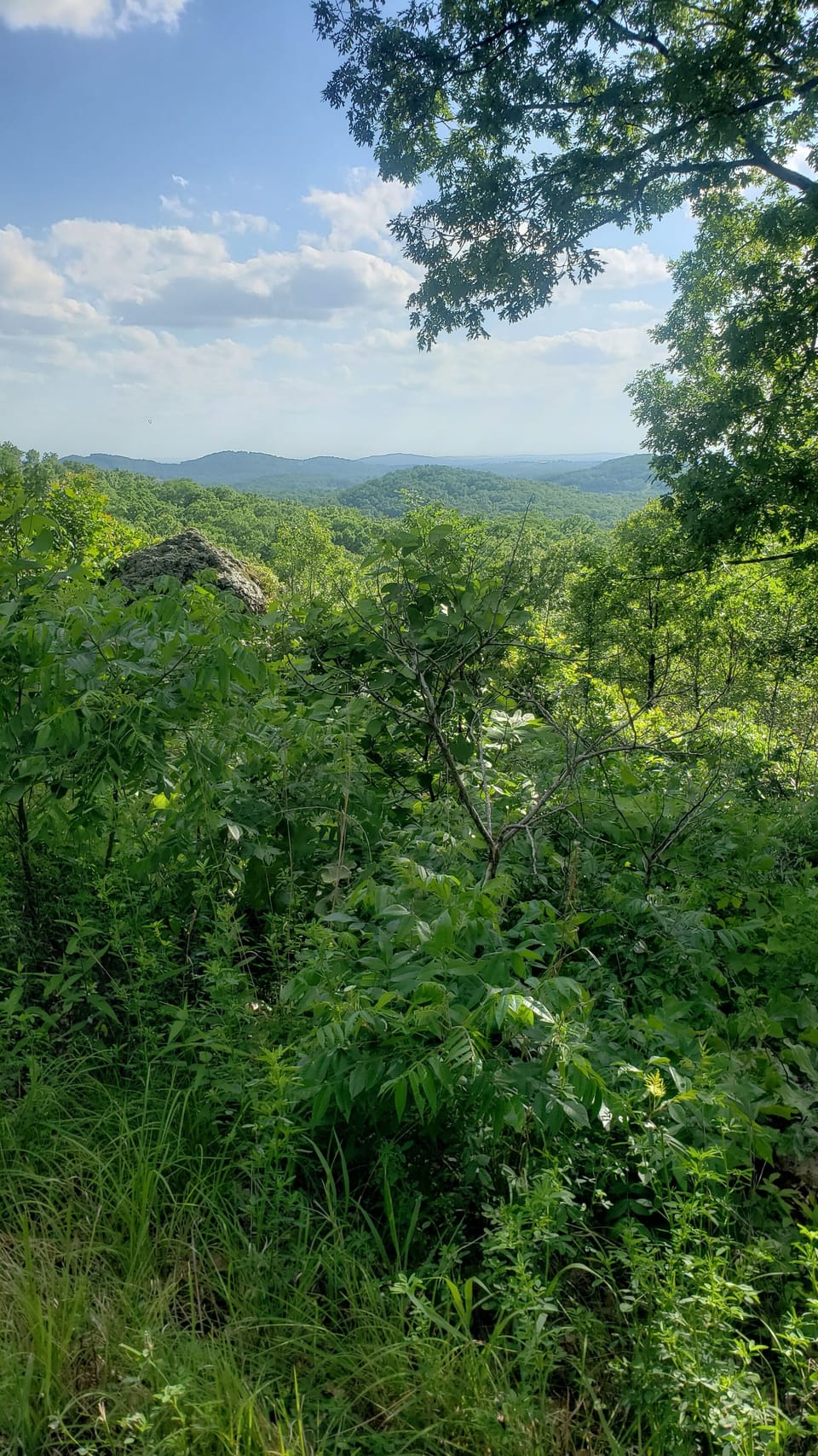 East Vista - Caney Mtn. Conservation area