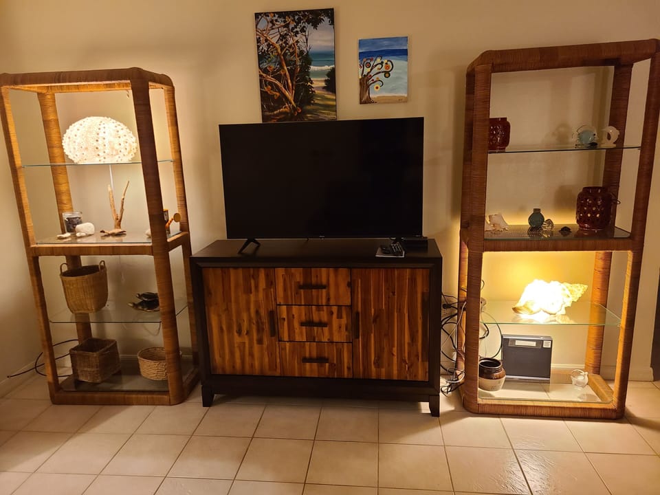 55" Smart TV and Wifi.