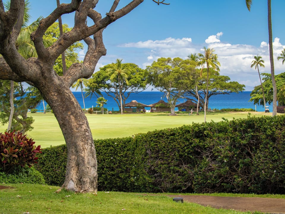 Bask in peaceful greenery with a direct line of sight to the deep blue sea—perfect for relaxing strolls or a round of golf.