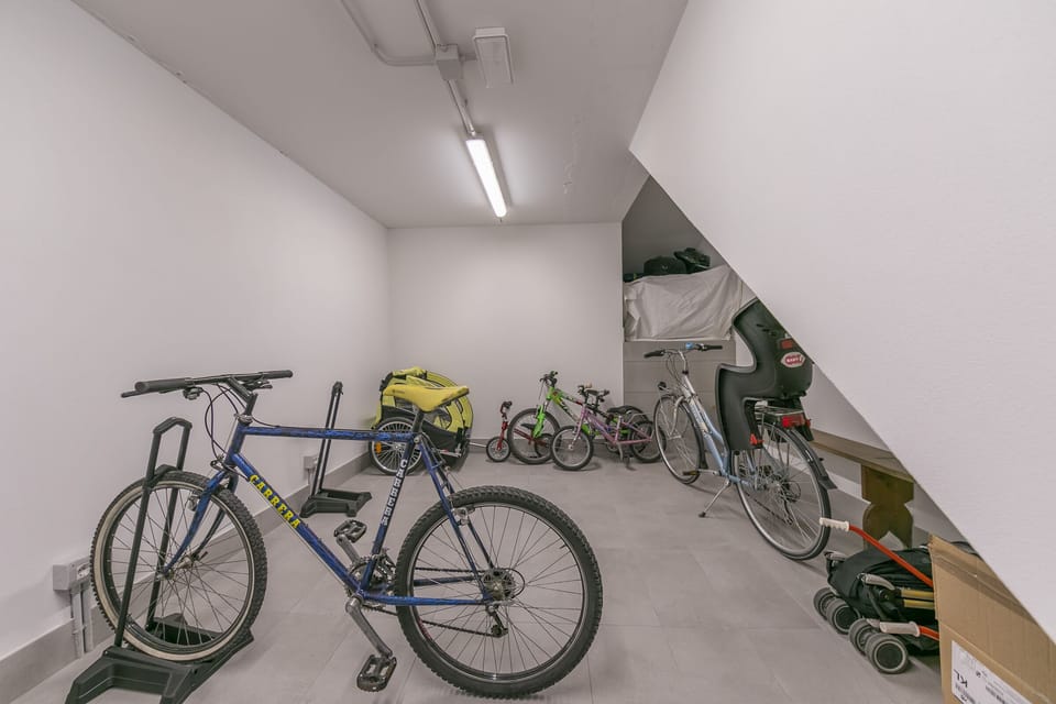 Bike and ski storage