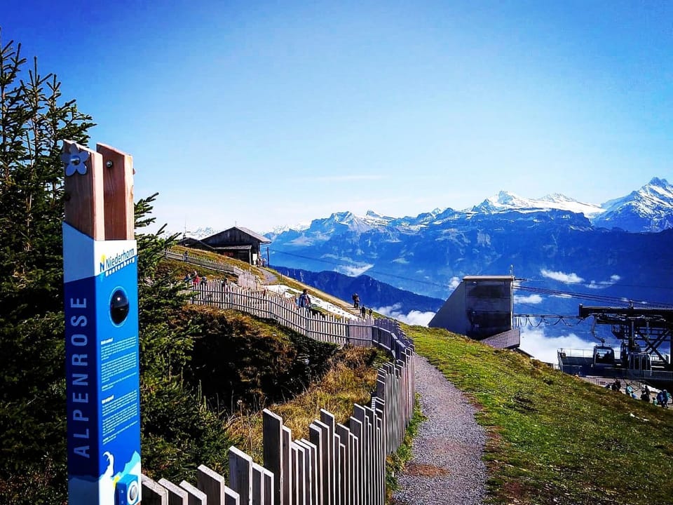 View