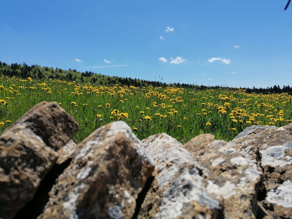 Place