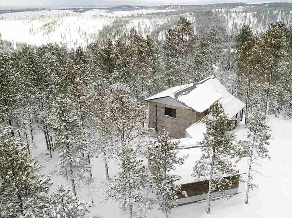 Gold Nugget In The Snow