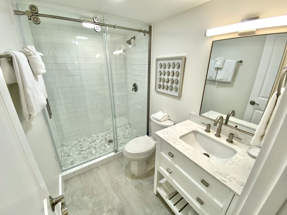 Guest bathroom