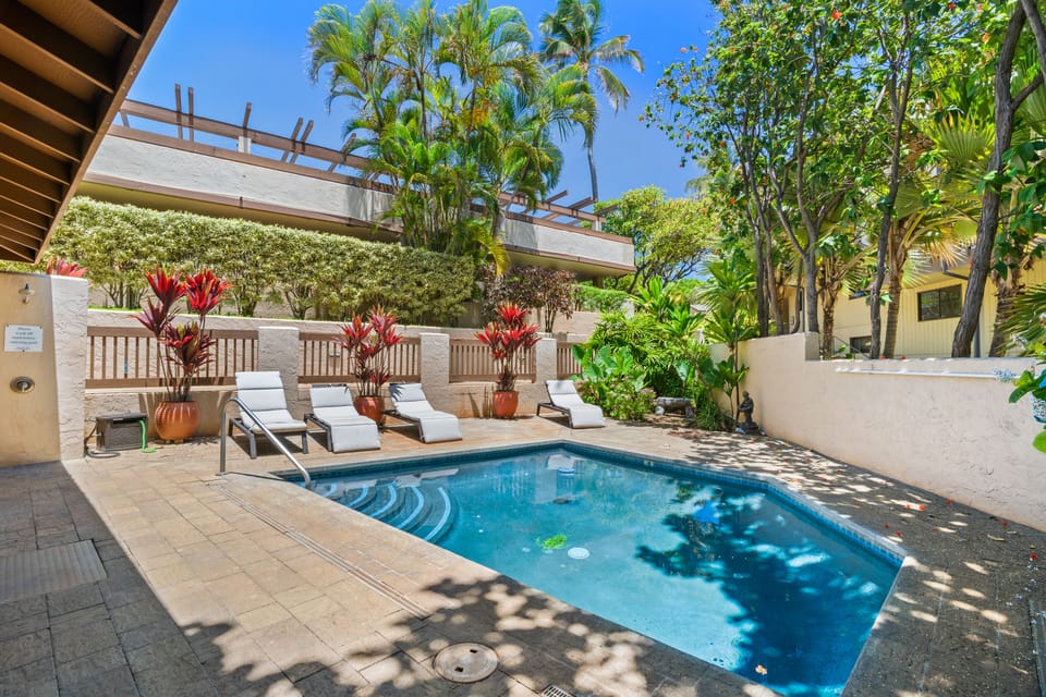 Plunge Pool