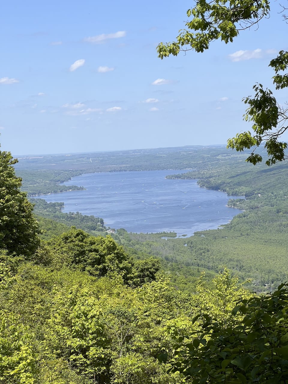 View from a trail in Harriet Hollister Park less than a mile away.