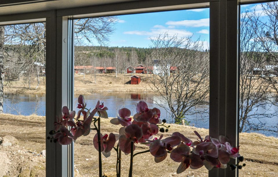 view-from-room