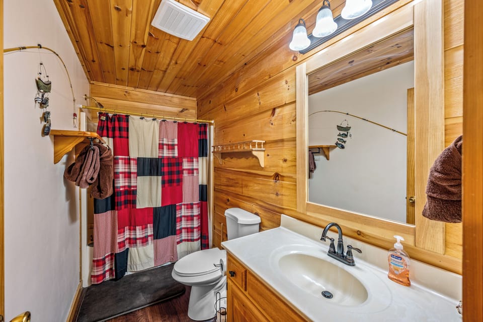 Lower level bathroom
