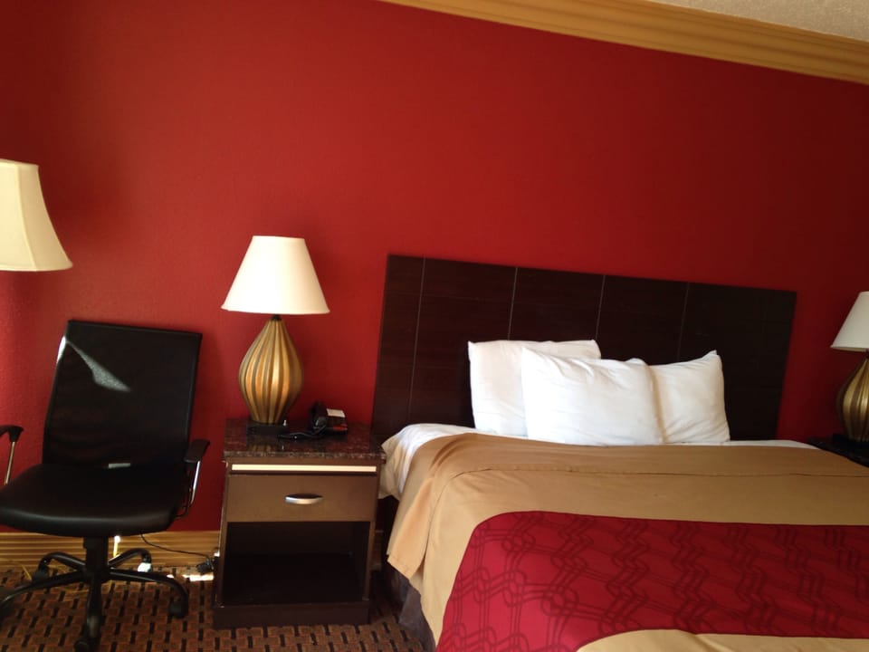 Basic Single Room, 1 Queen Bed, Non Smoking | Desk, laptop workspace, iron/ironing board, free WiFi