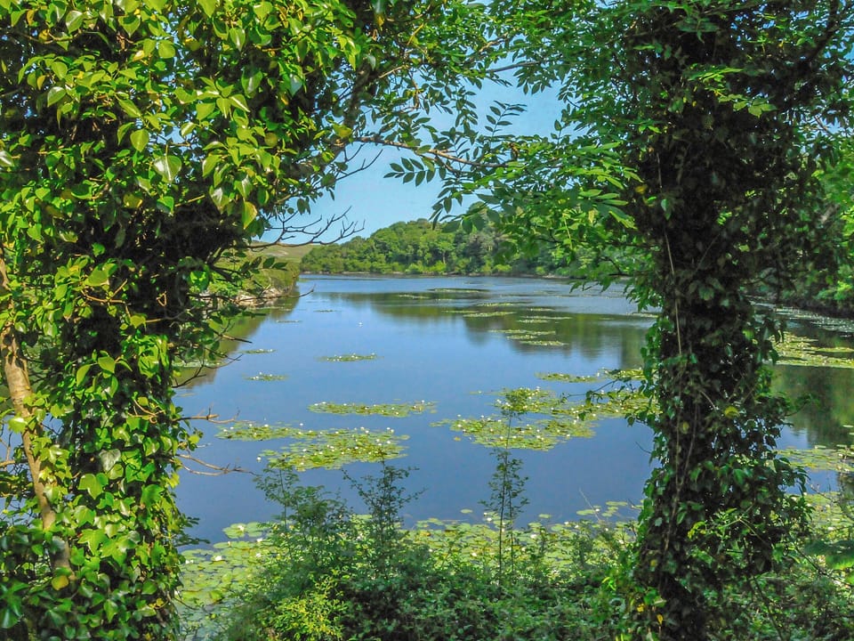 Outdoor area | Trinity Lodge - Burton Ferry Holiday Cottages, Burton, nr Milford Haven
