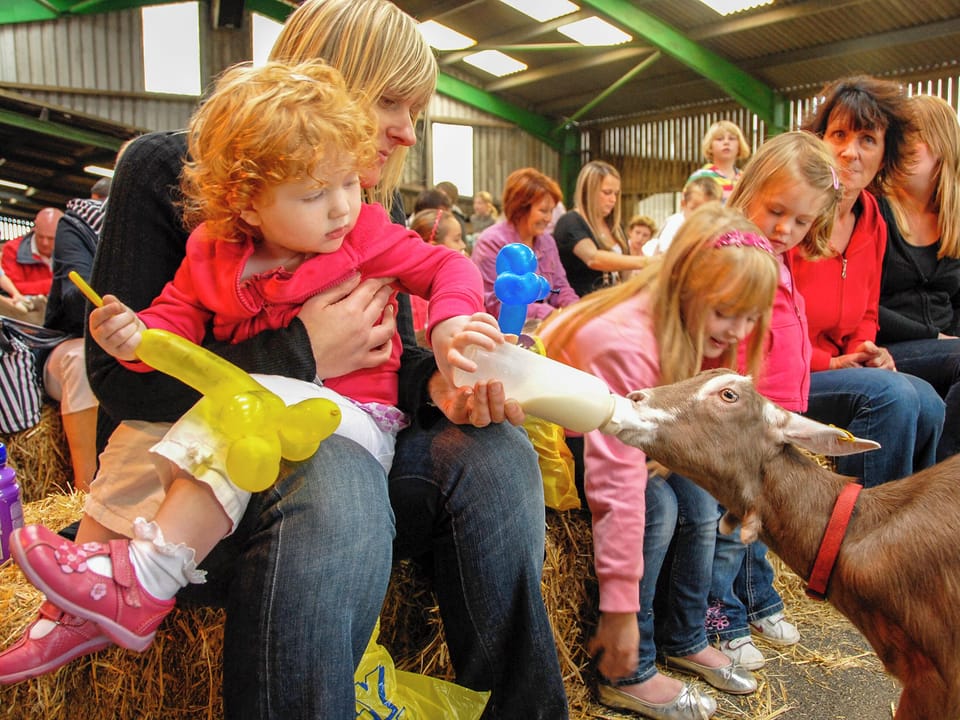Activity | Trinity Lodge - Burton Ferry Holiday Cottages, Burton, nr Milford Haven