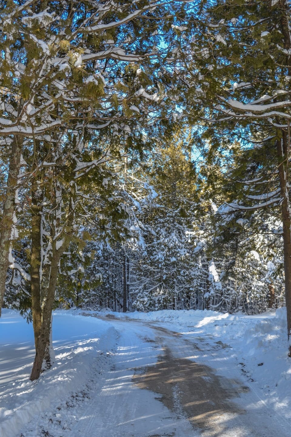Lie in the snow and look towards the sun...peace