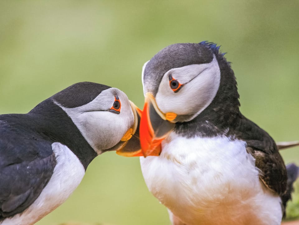 Outdoor area | Trinity Cottage - Burton Ferry Holiday Cottages, Burton, nr Milford Haven