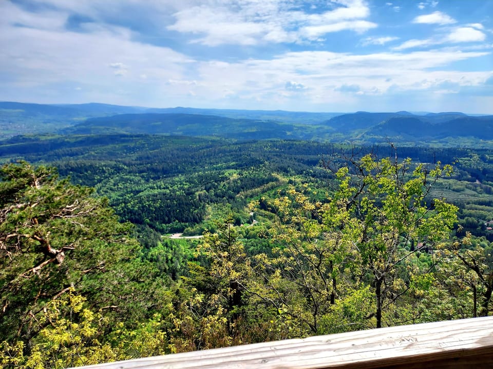 View from property