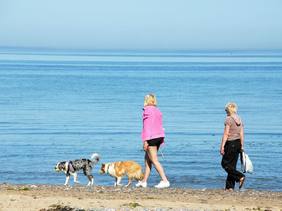 Beach | Seafields, New Quay, near Cardigan