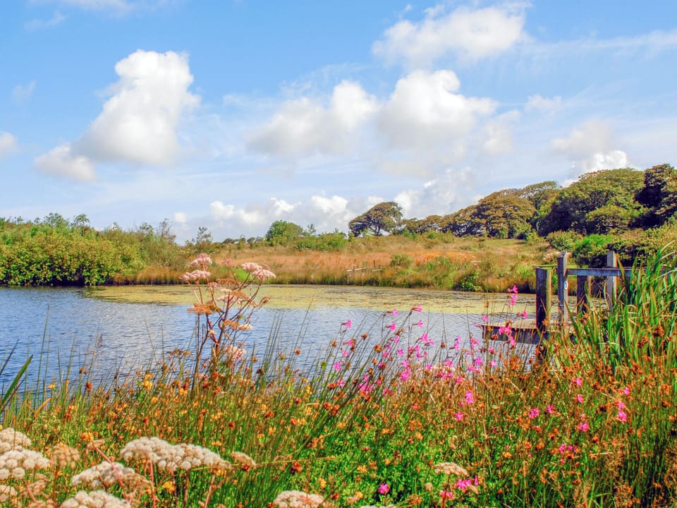Outdoor area | Lower Lochturffin, Llanreithan, near Croesgoch