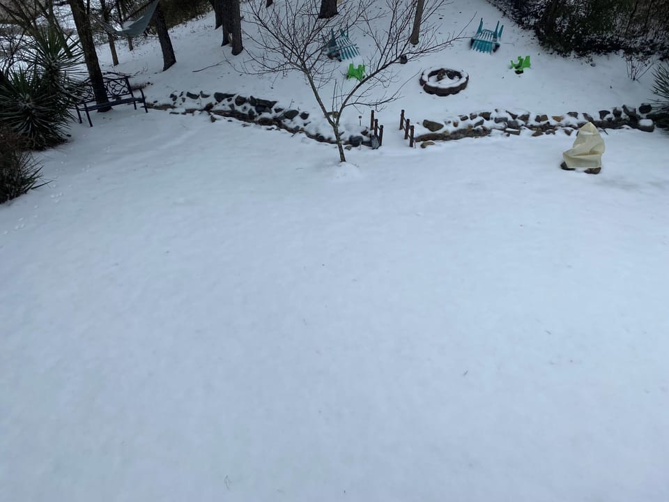 Snow Day in ATL