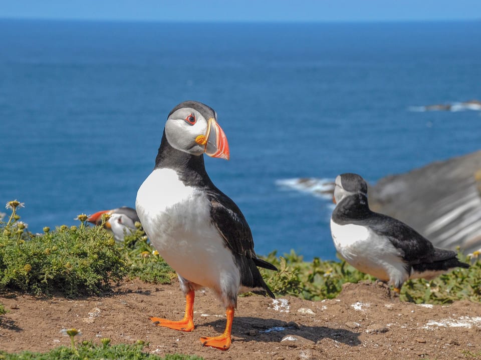 Beach | Rogeston Mount, Druidstone Cross - near Nolton Haven