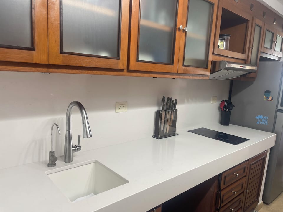 New countertop, sink, faucets, walter filtration system, cooktop and oven! 