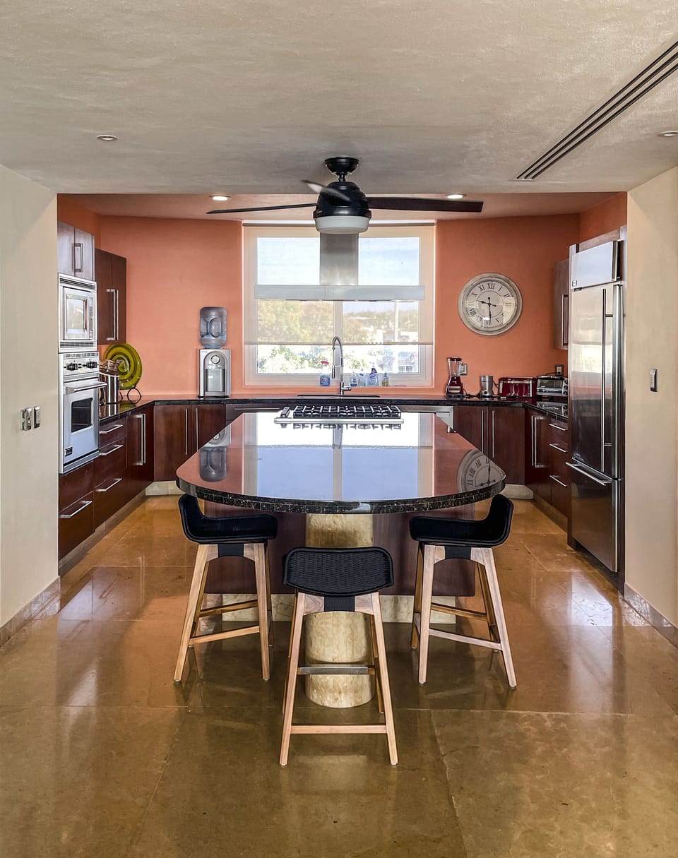 Gourmet kitchen