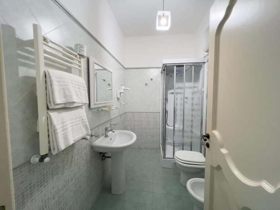Shower, hair dryer, bidet, towels