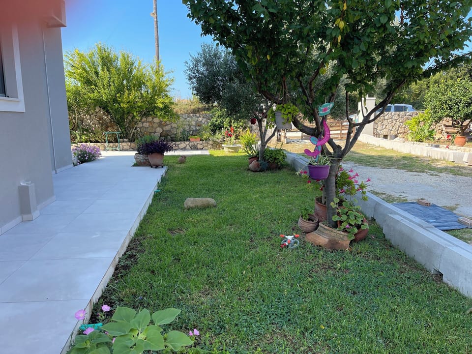 House | Property grounds