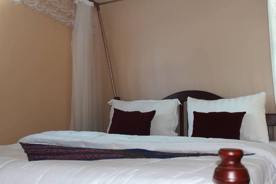 Comfort Single Room | Pillowtop beds, individually furnished, desk, laptop workspace