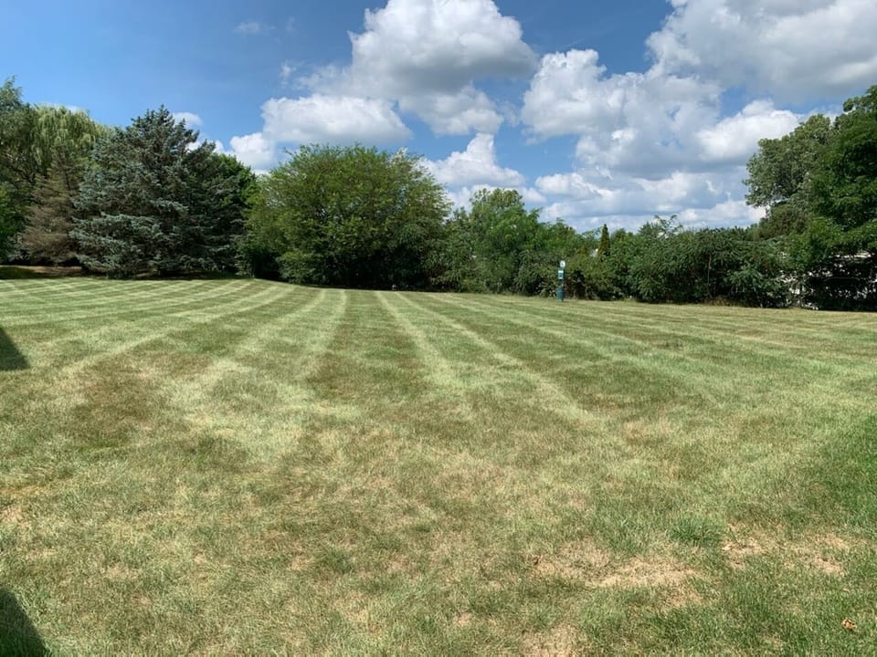 Beautifully manicured grounds! 