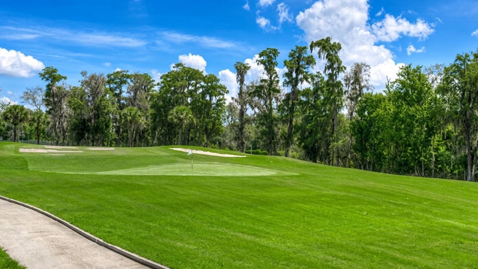 Golf Course • Fairway & Greens