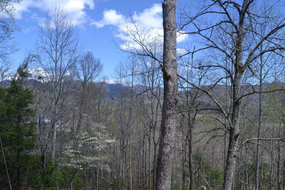 Winter and Spring View from our deck.