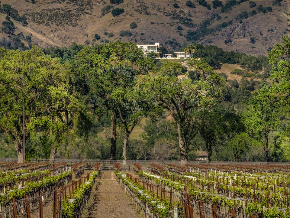 View of the Cliff Lede Estate