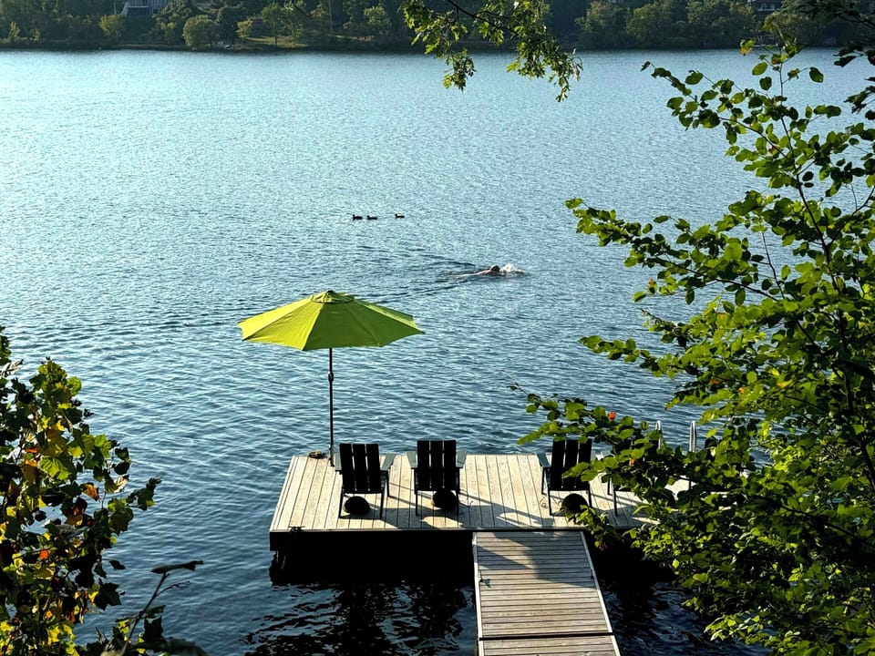 Lodge_ Lake dock with furniture, umbrella, swimming ladder.