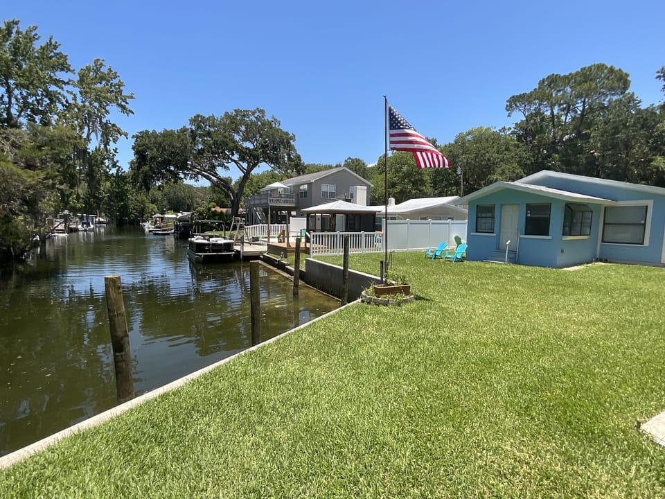 Back yard