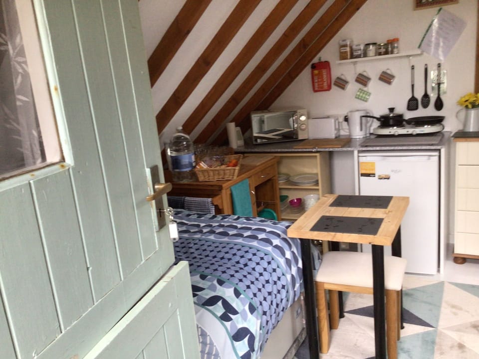 Studio | Private kitchen | Fridge, microwave, stovetop, electric kettle