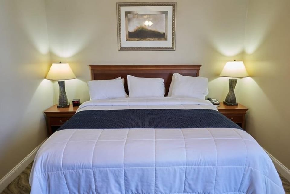 Queen Bed Standard View image 6