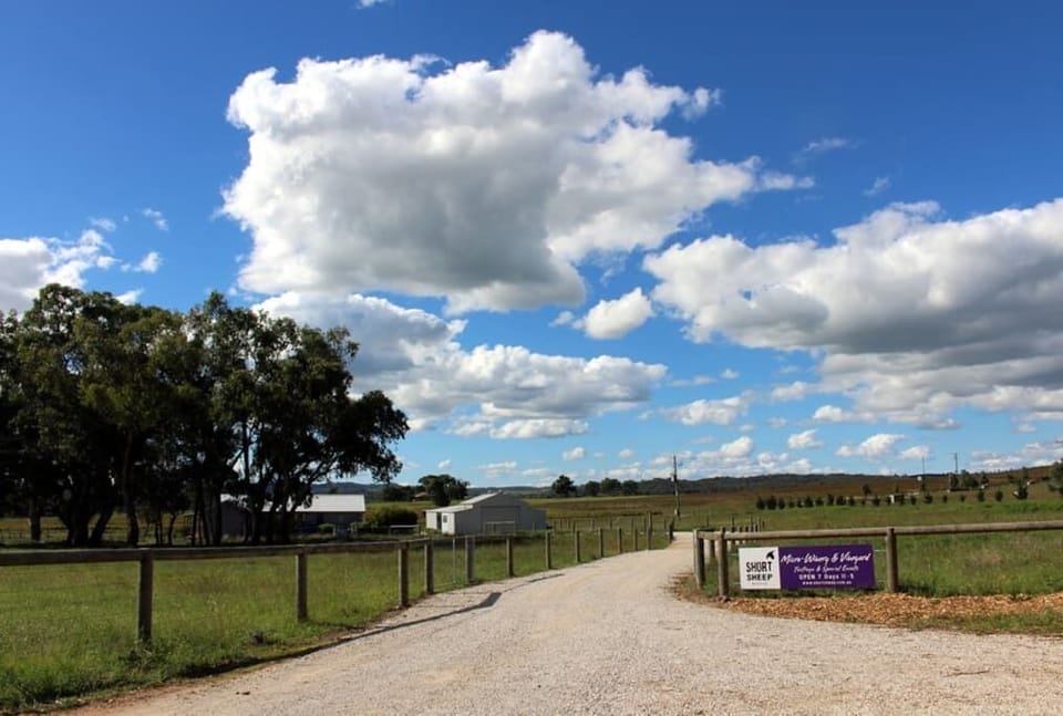 Entrance to SHORT SHEEP