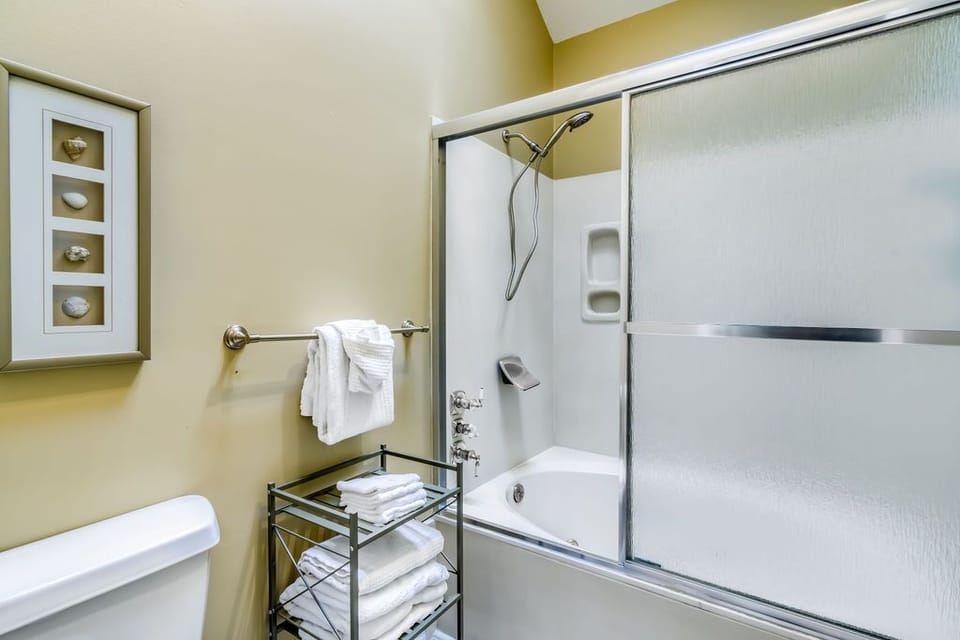 master bathroom with jacuzzi tub/shower combo