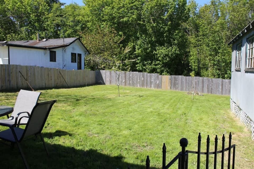 Nice back yard