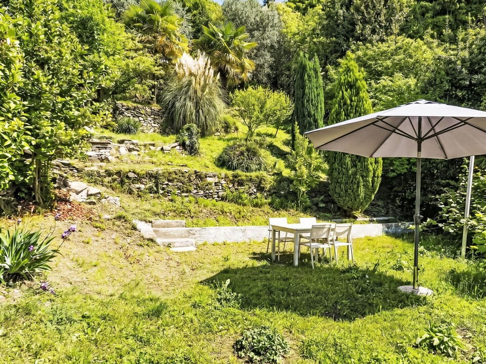 Green, Garden, Shrub, Groundcover, Umbrella, Shade, Lawn, Outdoor Furniture, Landscaping, Yard