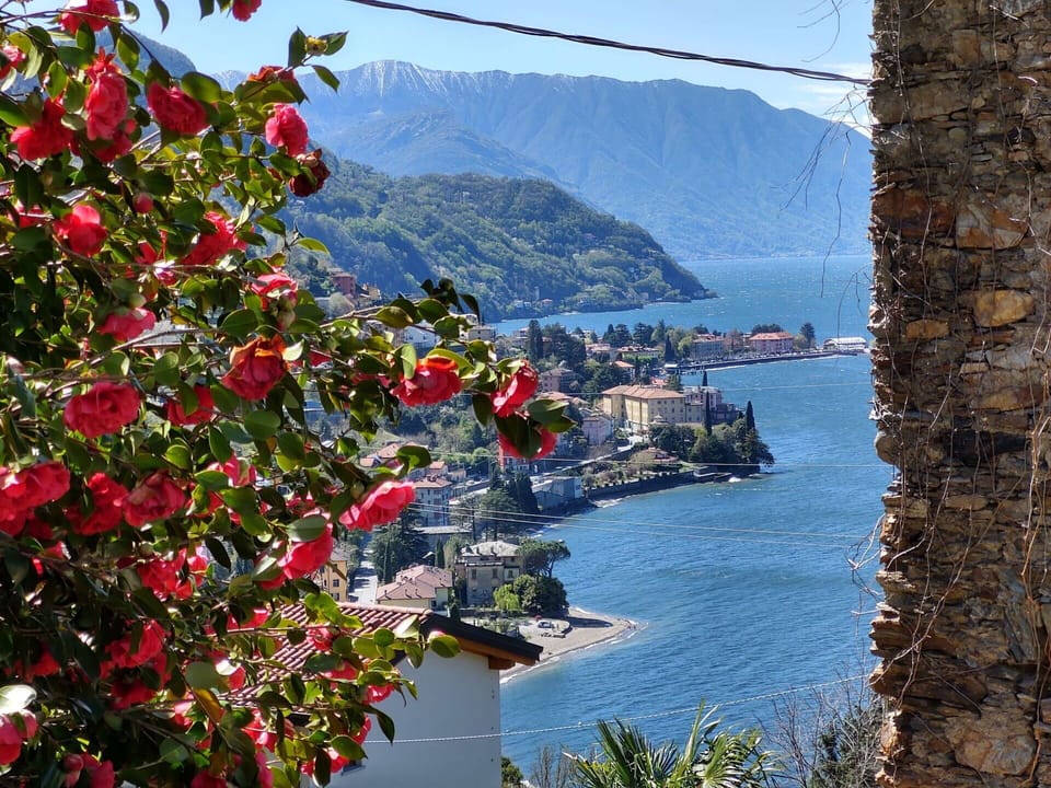 Water, Plant, Sky, Flower, Azure, Tree, Mountain, Biome, Coastal And Oceanic Landforms, Lake