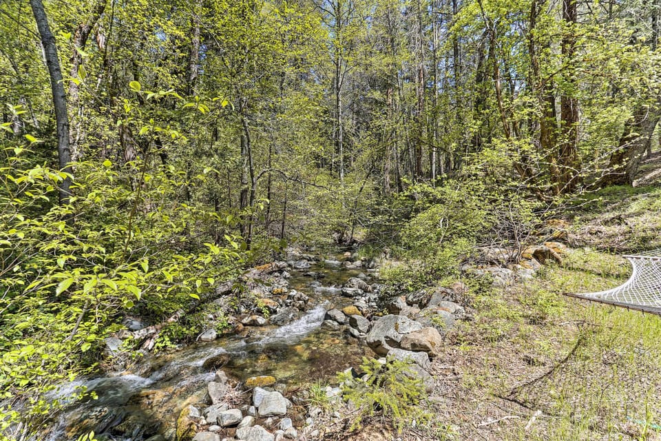 Exterior | Creek On-Site | Hammock