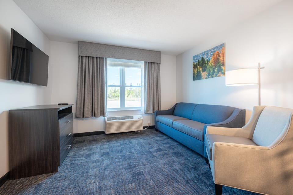 Deluxe Studio Suite, 1 King Bed with Sofa bed | Living area | Smart TV