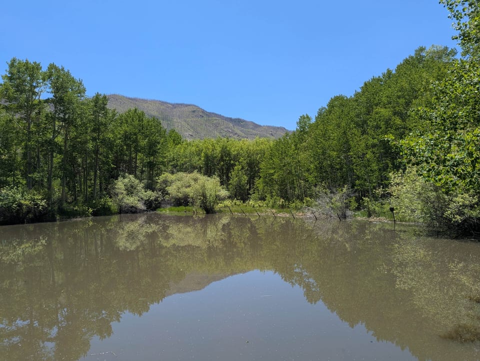 Take a walk to our pond for an amazing view!