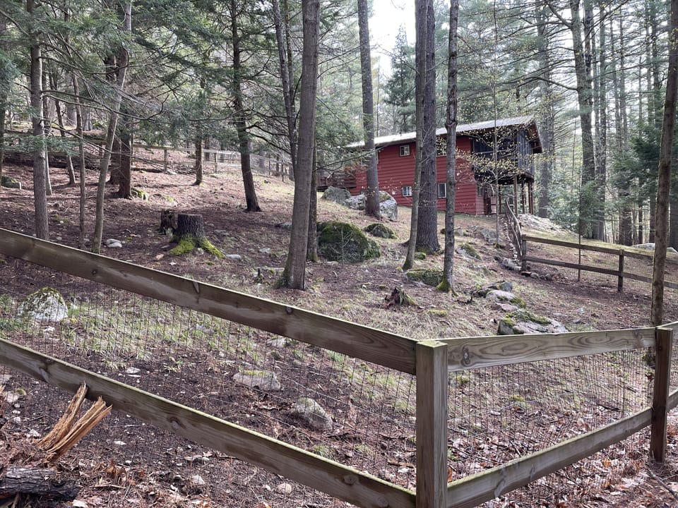 Fully enclosed dog yard