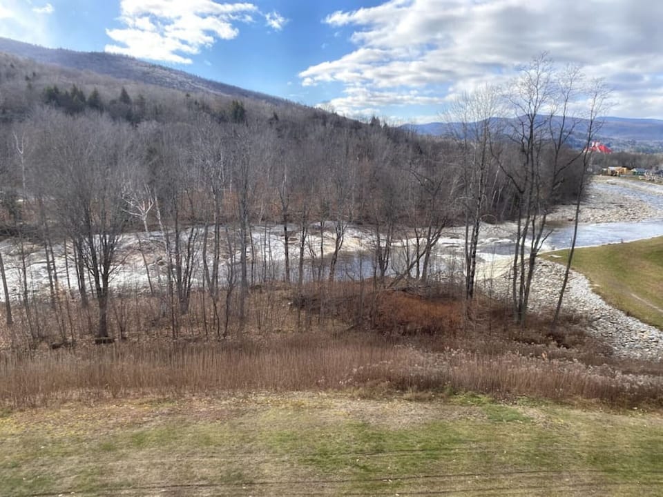 View from our window