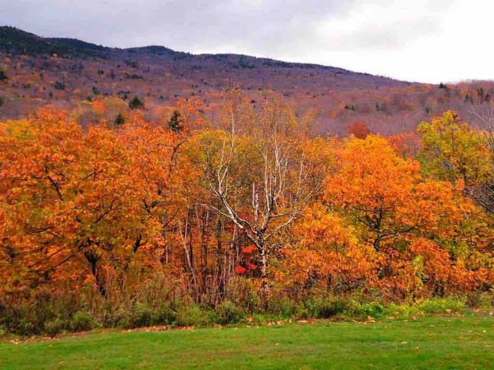 Our backyard in October!
