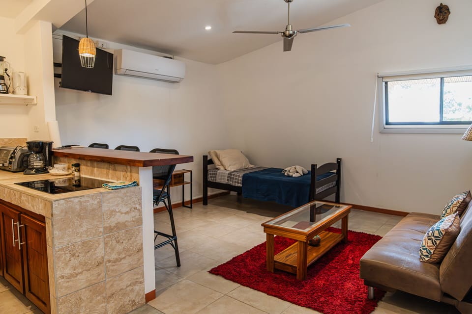 Large living/kitchen area with high ceilings, AC and cable TV. 
