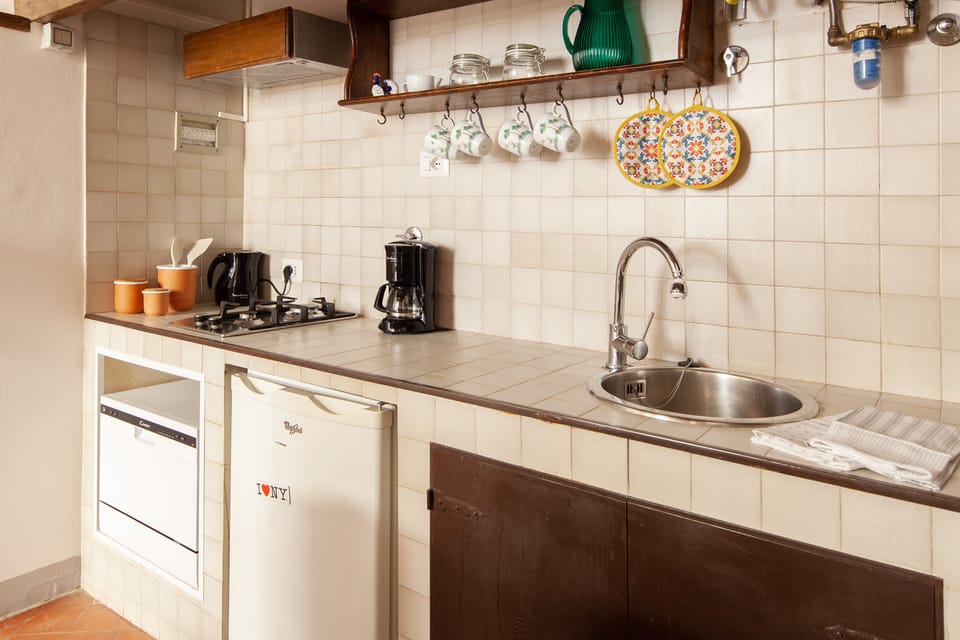Kitchen wall w wash disher, fridge and 2 fires place, American coffee.