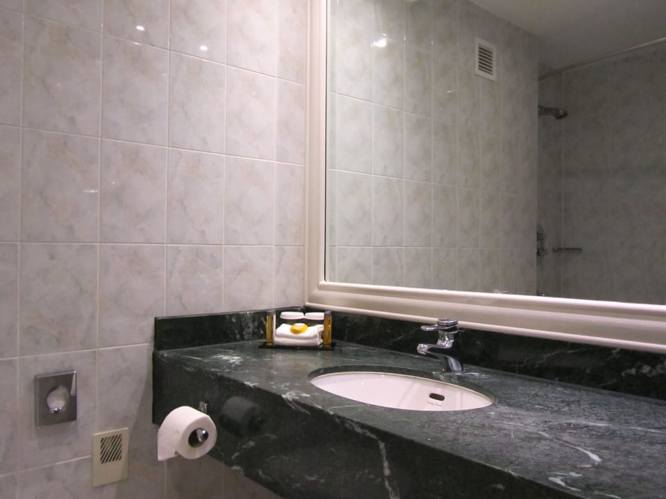 Combined shower/tub, free toiletries, hair dryer, towels